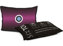 Autós páramentesítő párnák készlete DRY CAR 2 x 350g
