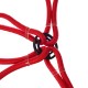 Gumi rögzítő pántok/gumikötél pókháló CARGO CORD SPIDER BASIC 80, 80 cm, 8 ág