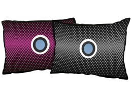Autós páramentesítő párnák készlete DRY CAR 2 x 350g
